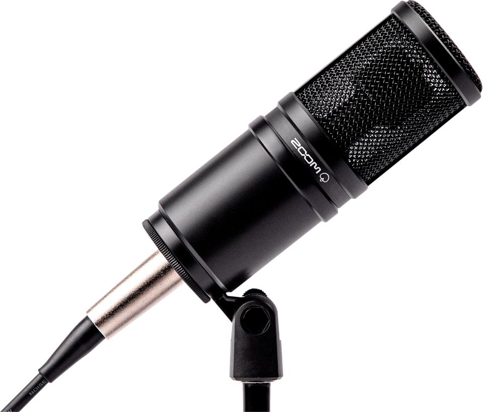 zoom microphone not working