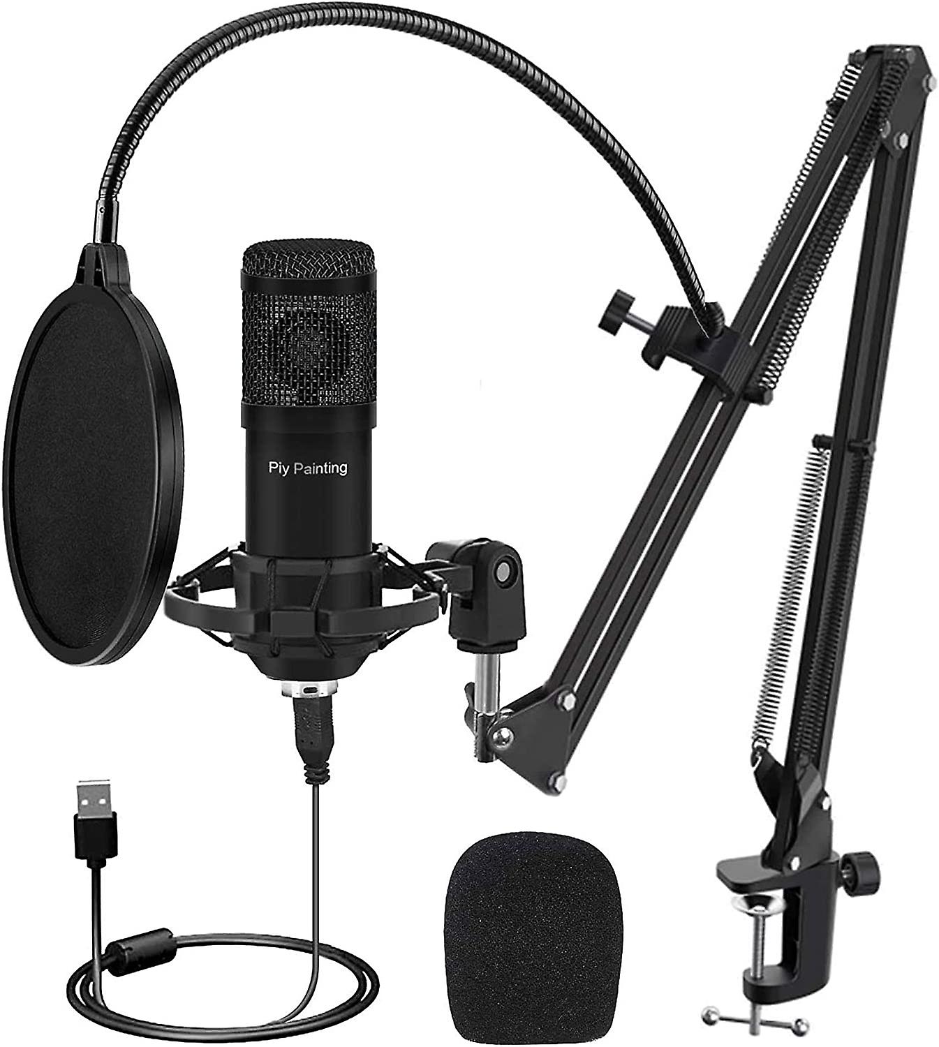 studio microphone