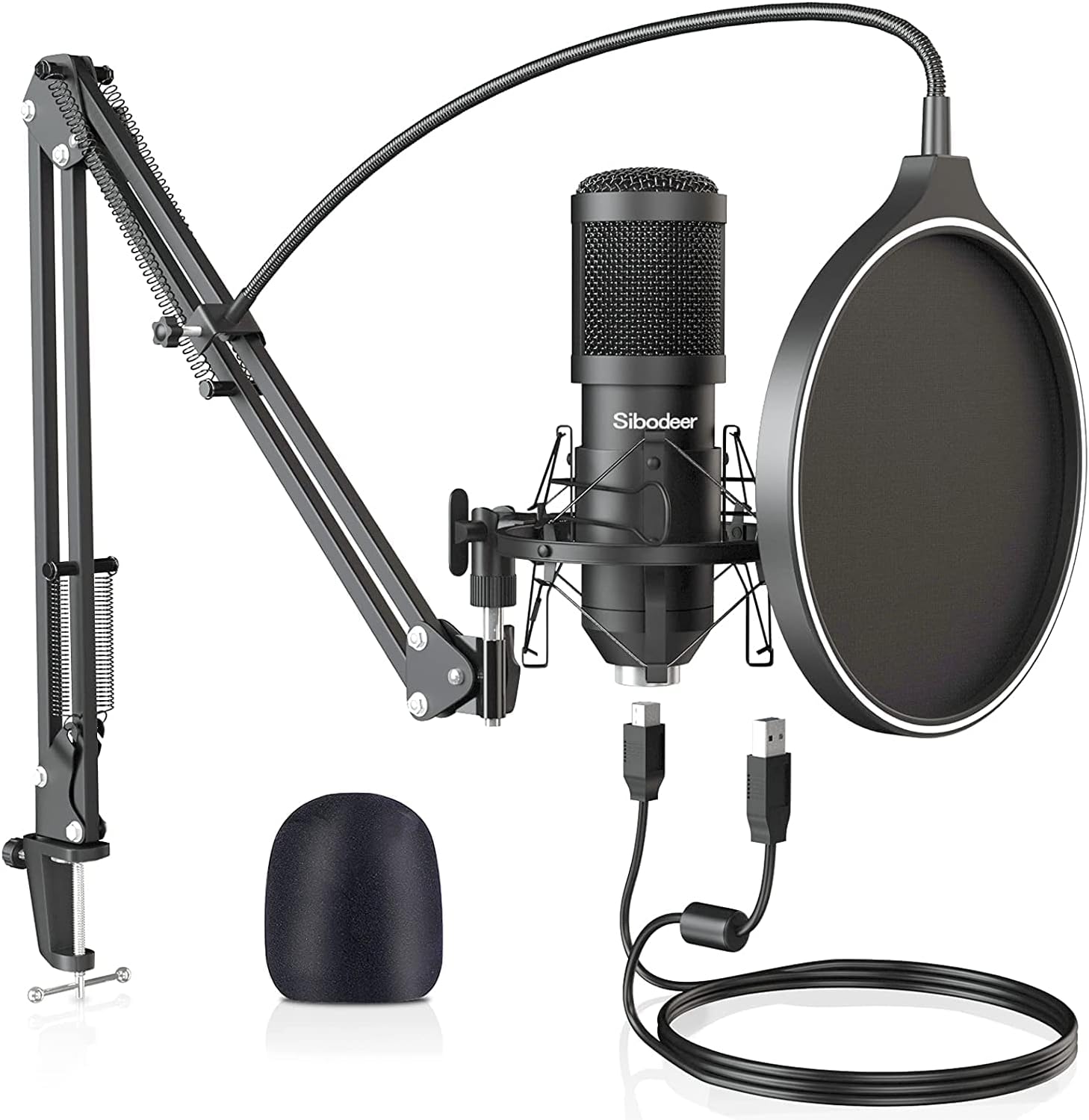 Studio Microphone Techniques: How to Record Like a Pro插图4