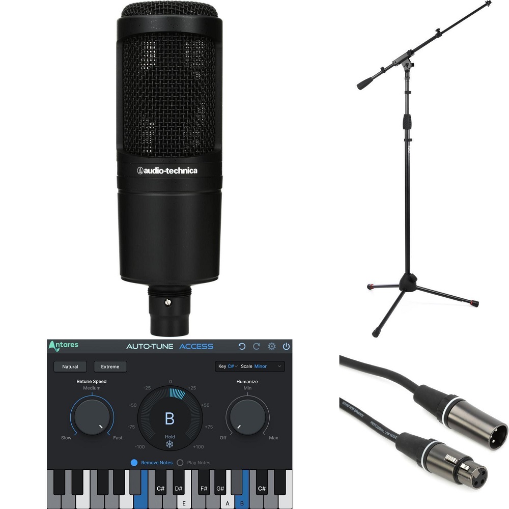 autotune microphone