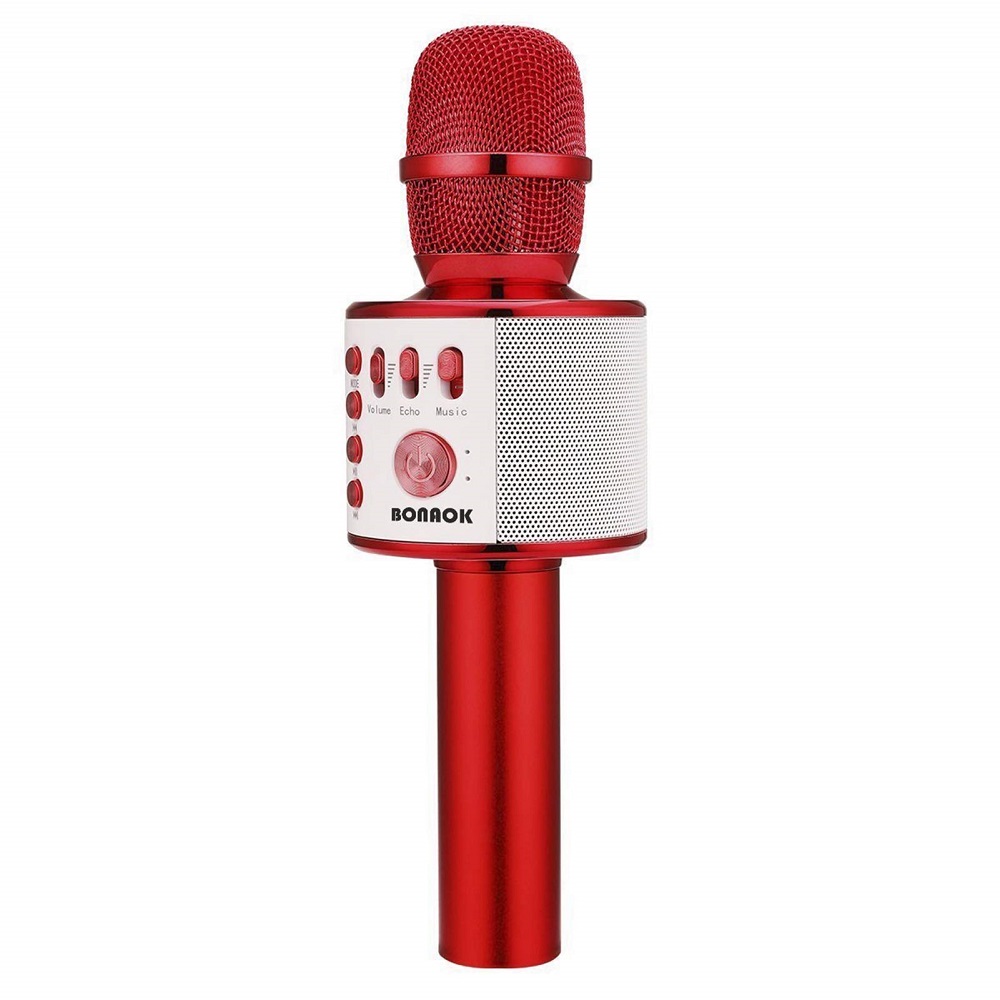 portable microphone