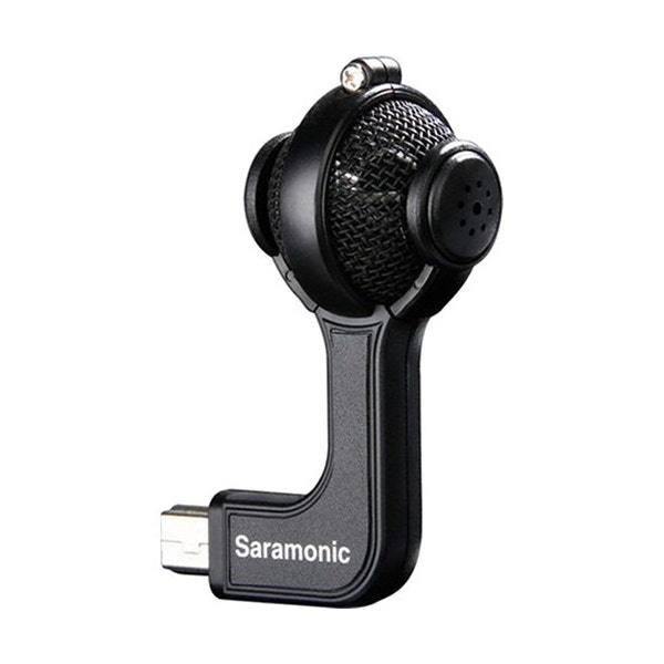 gopro microphone