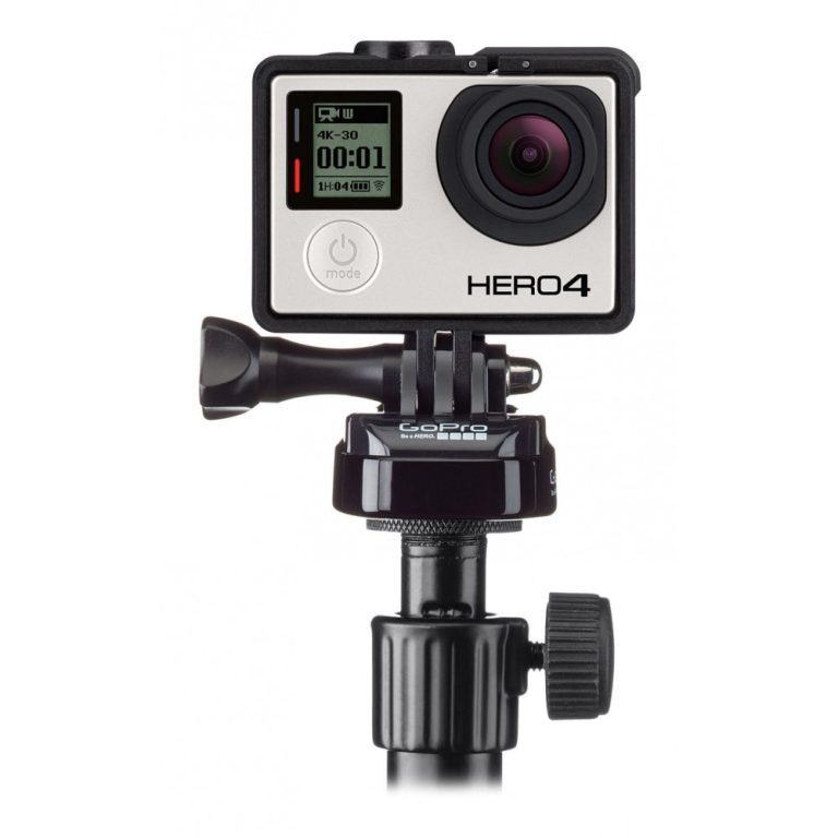 gopro-mic