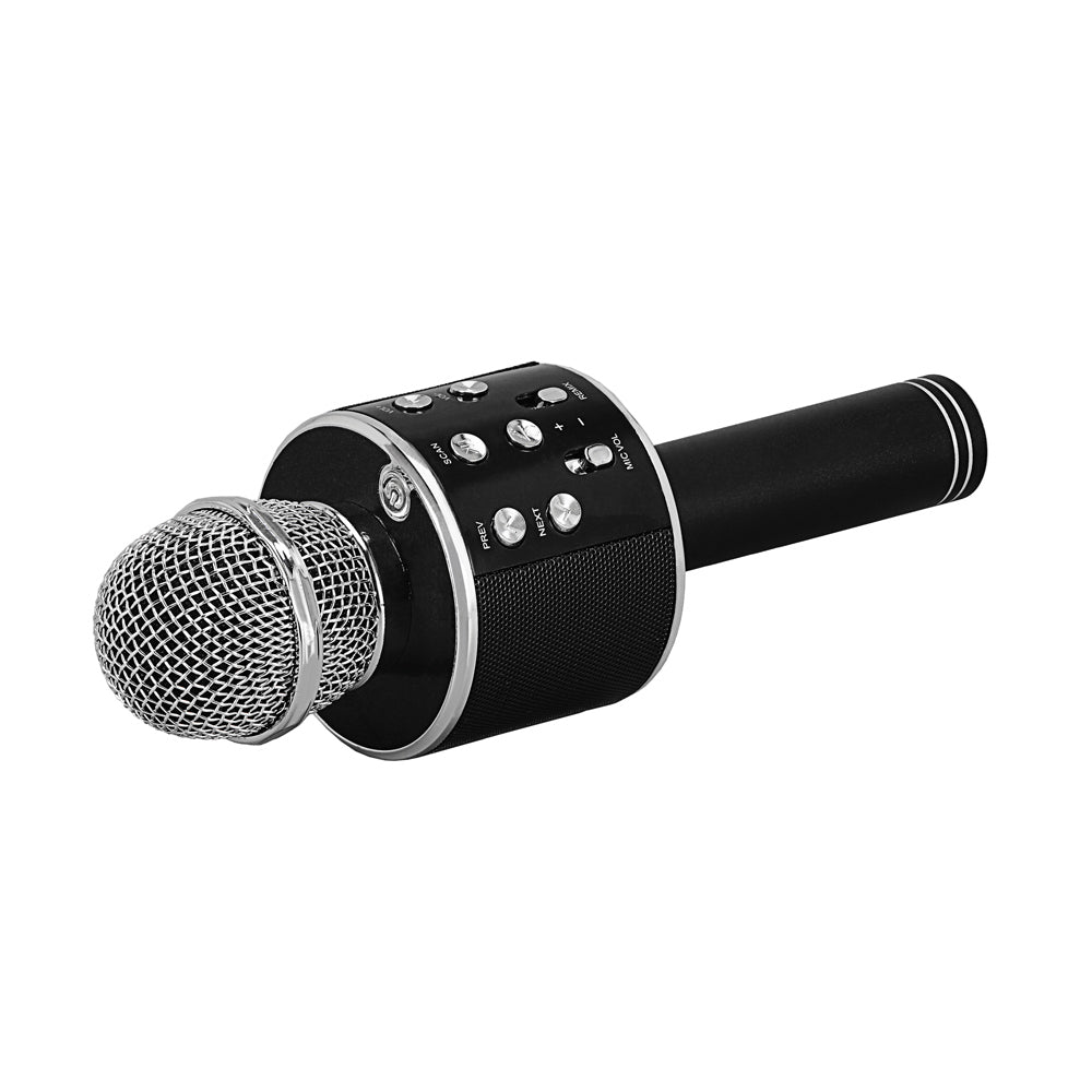 microphone speaker