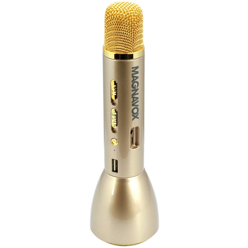 best karaoke microphone