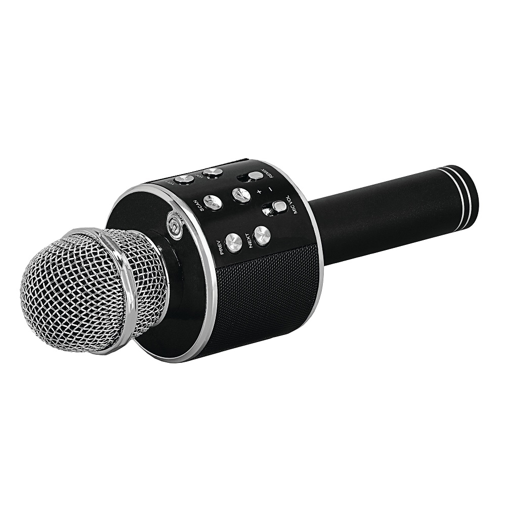 speaker microphone