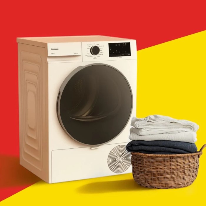 heat pump tumble dryer